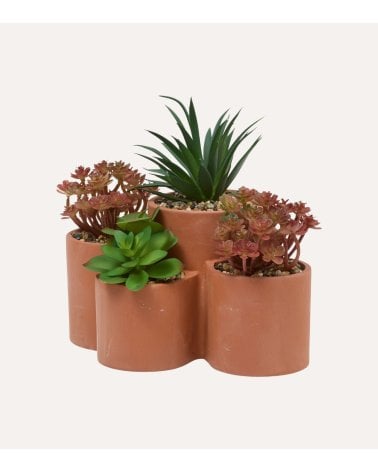 Suculentas Decorativas en Maceta Múltiple