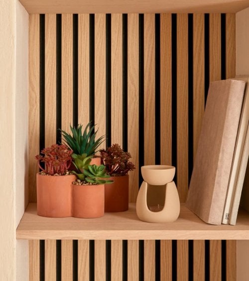 Suculentas Decorativas en Maceta Múltiple