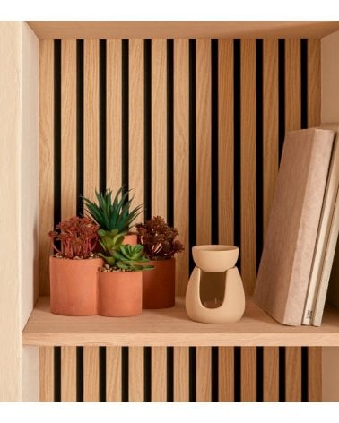 Suculentas Decorativas en Maceta Múltiple