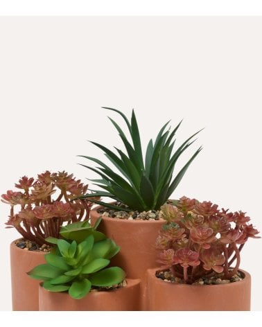 Suculentas Decorativas en Maceta Múltiple