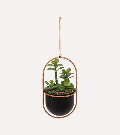 Planta Colgante Suculenta Decorativa en Maceta de Metal