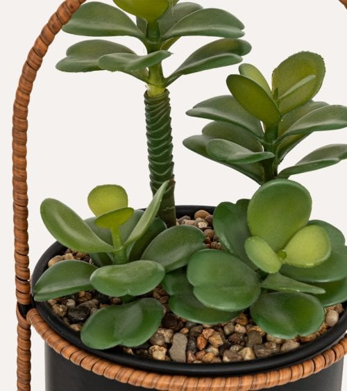 Planta Colgante Suculenta Decorativa en Maceta de Metal