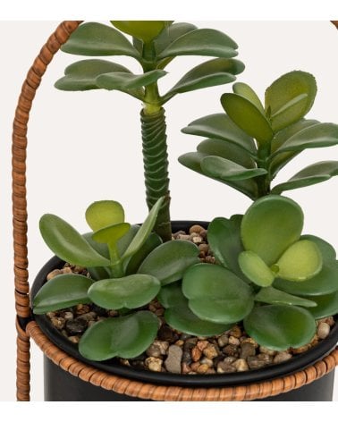 Planta Colgante Suculenta Decorativa en Maceta de Metal