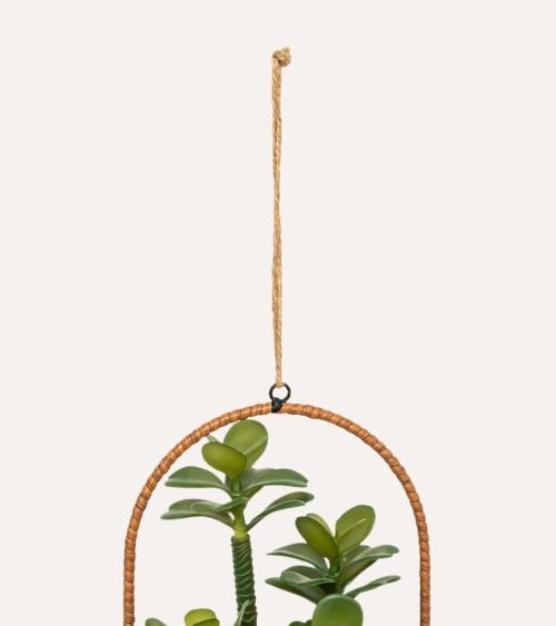 Planta Colgante Suculenta Decorativa en Maceta de Metal