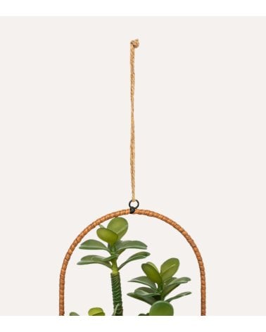 Planta Colgante Suculenta Decorativa en Maceta de Metal