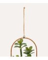 Planta Colgante Suculenta Decorativa en Maceta de Metal