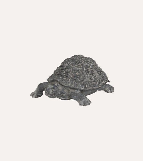 Tortuga Decorativa Francky Para Exteriores