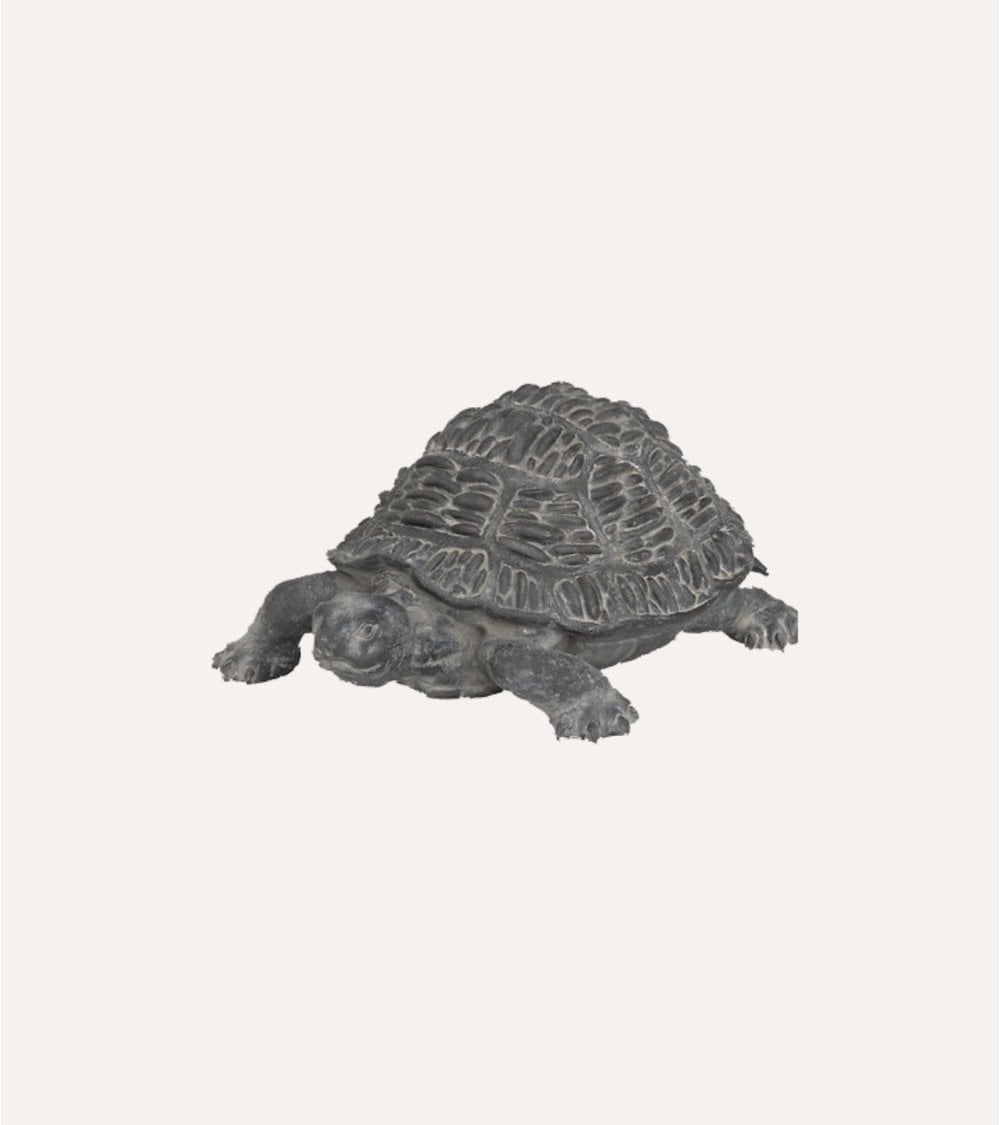 Tortuga Decorativa Francky Para Exteriores