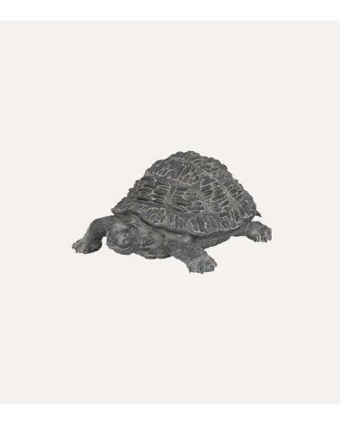 Tortuga Decorativa Francky Para Exteriores
