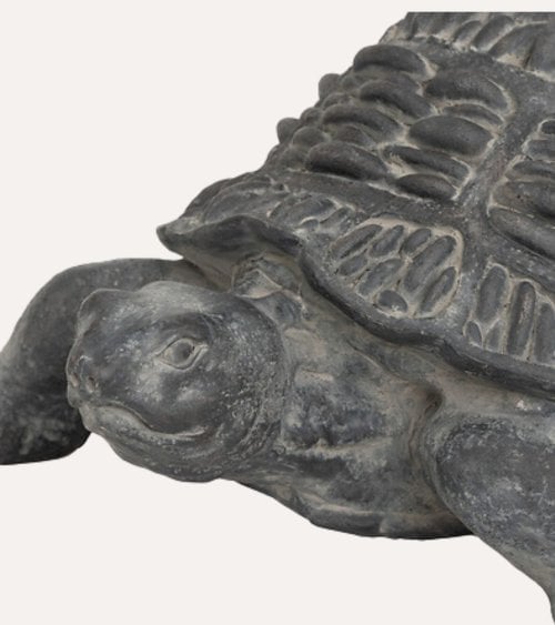 Tortuga Decorativa Francky Para Exteriores