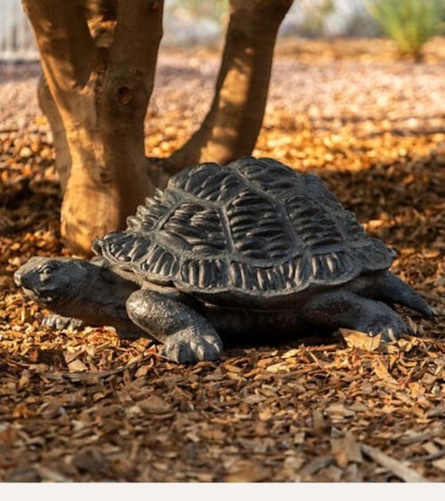 Tortuga Decorativa Francky Para Exteriores