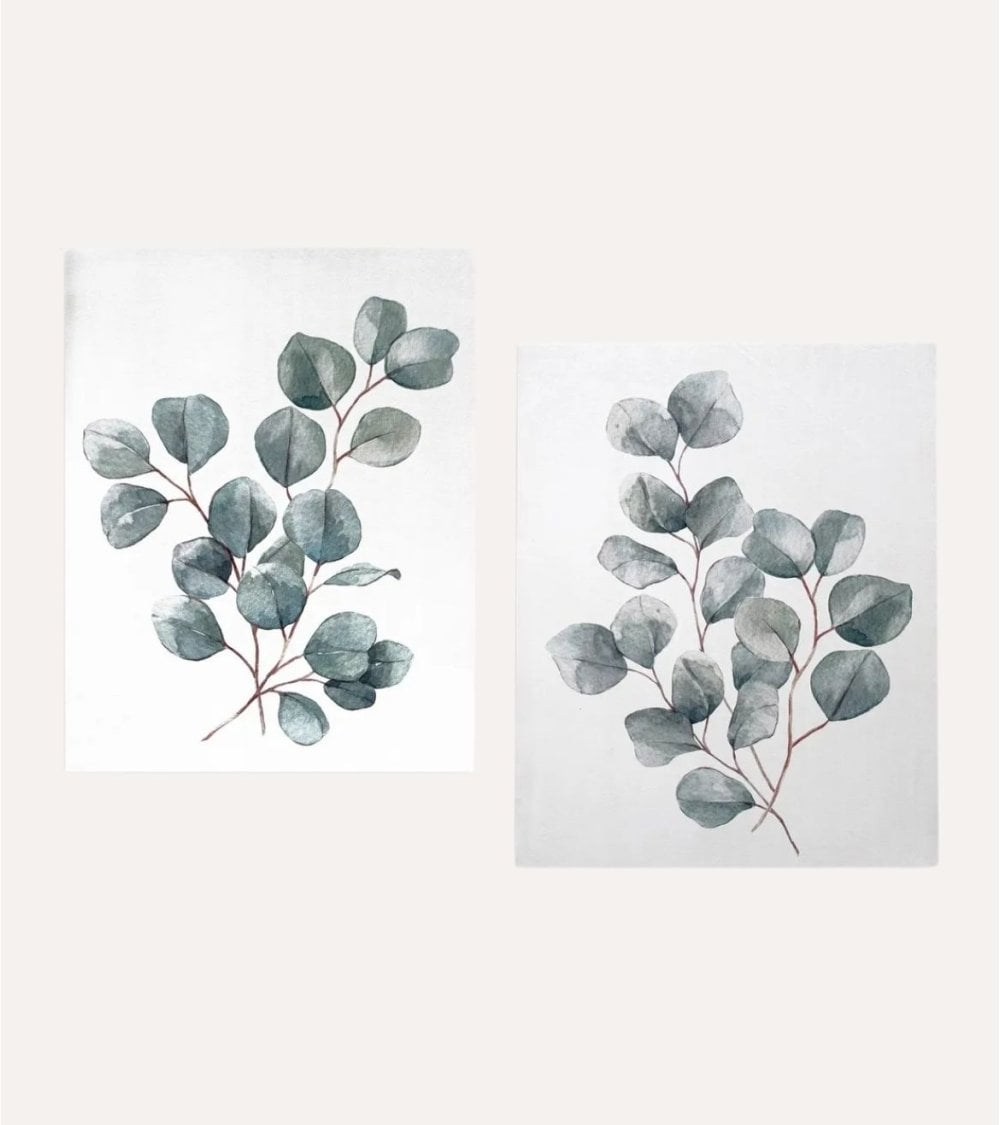Cuadro Impreso Eucalipto de Acuarela de Lienzo