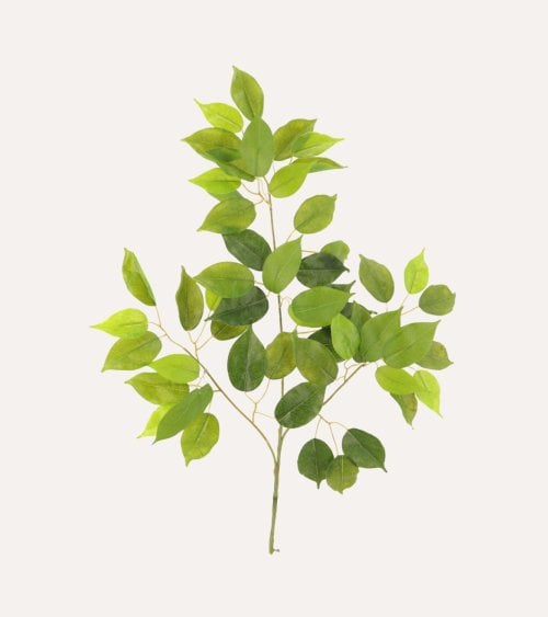 Ficus Benjamina Decorativa de Poliéster y Plástico