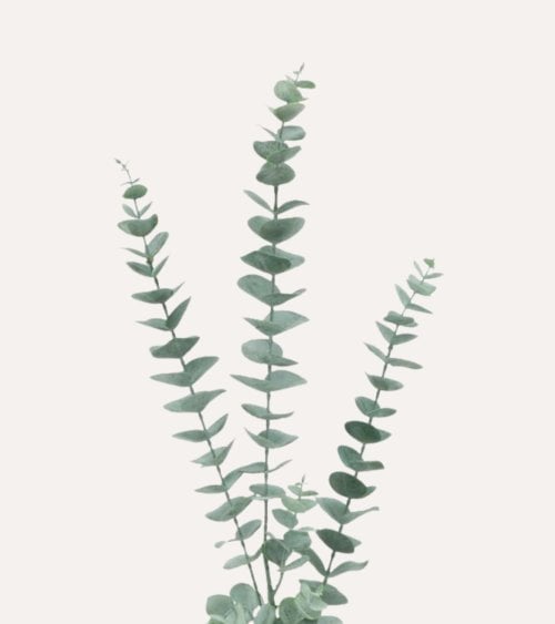 Eucalipto Decorativo con 3 Tallos de Poliéster y Plástico