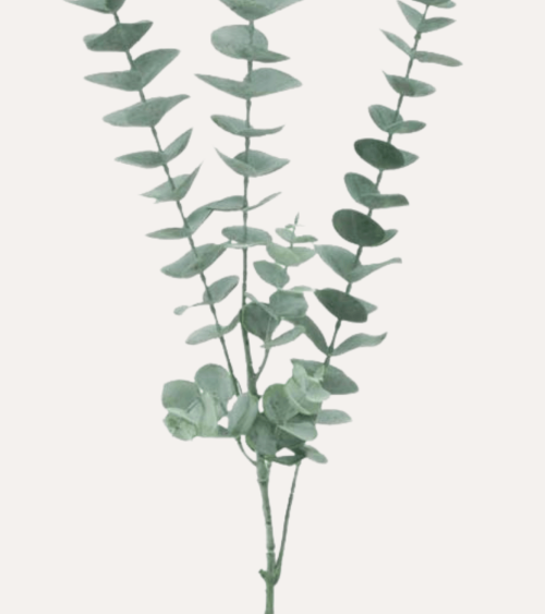 Eucalipto Decorativo con 3 Tallos de Poliéster y Plástico