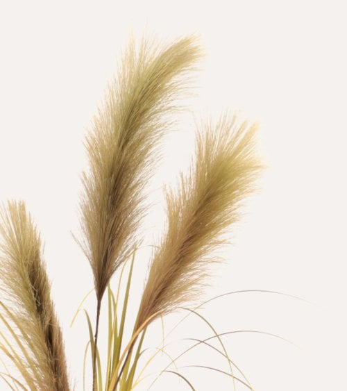 Hierba de las Pampas Decorativa de Poliéster y Plástico