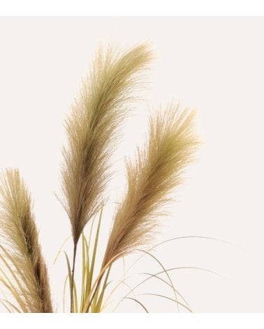 Hierba de las Pampas Decorativa de Poliéster y Plástico
