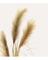 Hierba de las Pampas Decorativa de Poliéster y Plástico