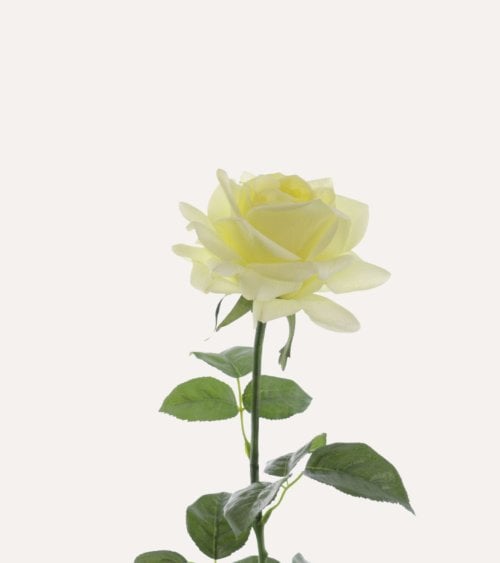 Rosa Diamante Decorativa de Poliéster y Plástico