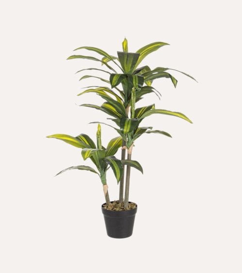 Planta Decorativa Dracena de Plástico