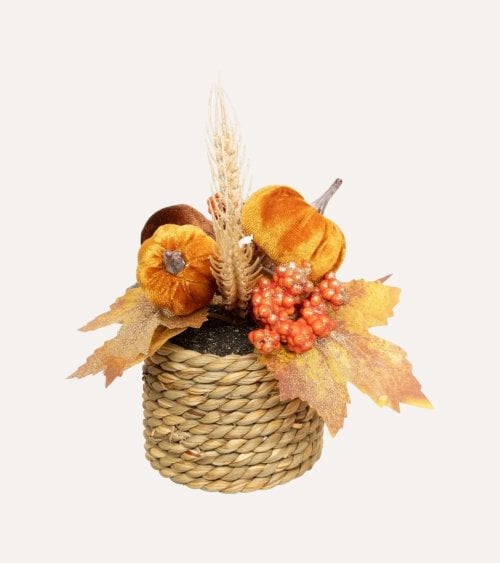 Flores Otoñales Decorativas con Calabazas en Maceta