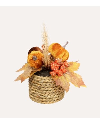 Flores Otoñales Decorativas con Calabazas en Maceta