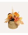 Flores Otoñales Decorativas con Calabazas en Maceta