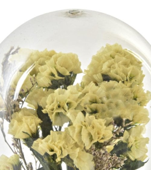 Flor Natural Seca en Cúpula de Plástico-2