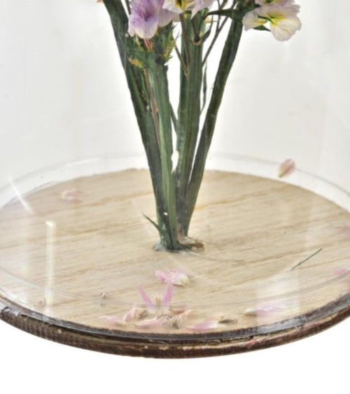 Flor Natural Seca en Cúpula de Plástico-3