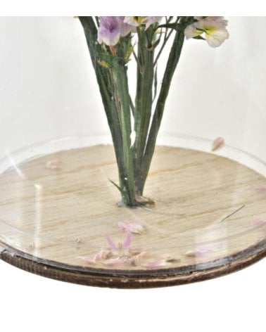 Flor Natural Seca en Cúpula de Plástico-3