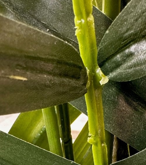 Palmera Artificial Kentia en Maceta de Plástico Negra-3