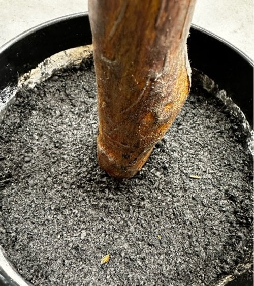 Magnolio Artificial en Maceta de Plástico 160 cm-2