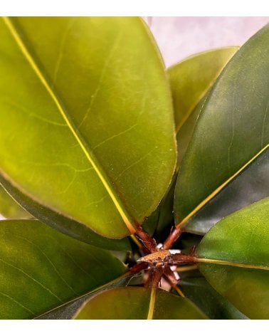 Magnolio Artificial en Maceta de Plástico 160 cm-3