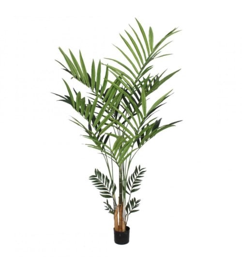 Palmera Artificial Kentia en Maceta de Plástico Negra 240 cm-1