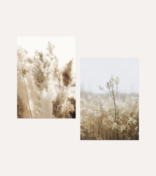 Cuadro Lienzo Impreso de Hierba Silvestre