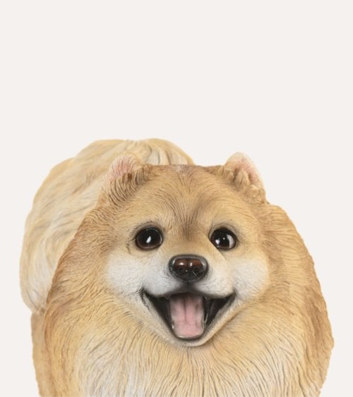 Figura Decorativa Perro Pomerania de Resina