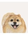 Figura Decorativa Perro Pomerania de Resina