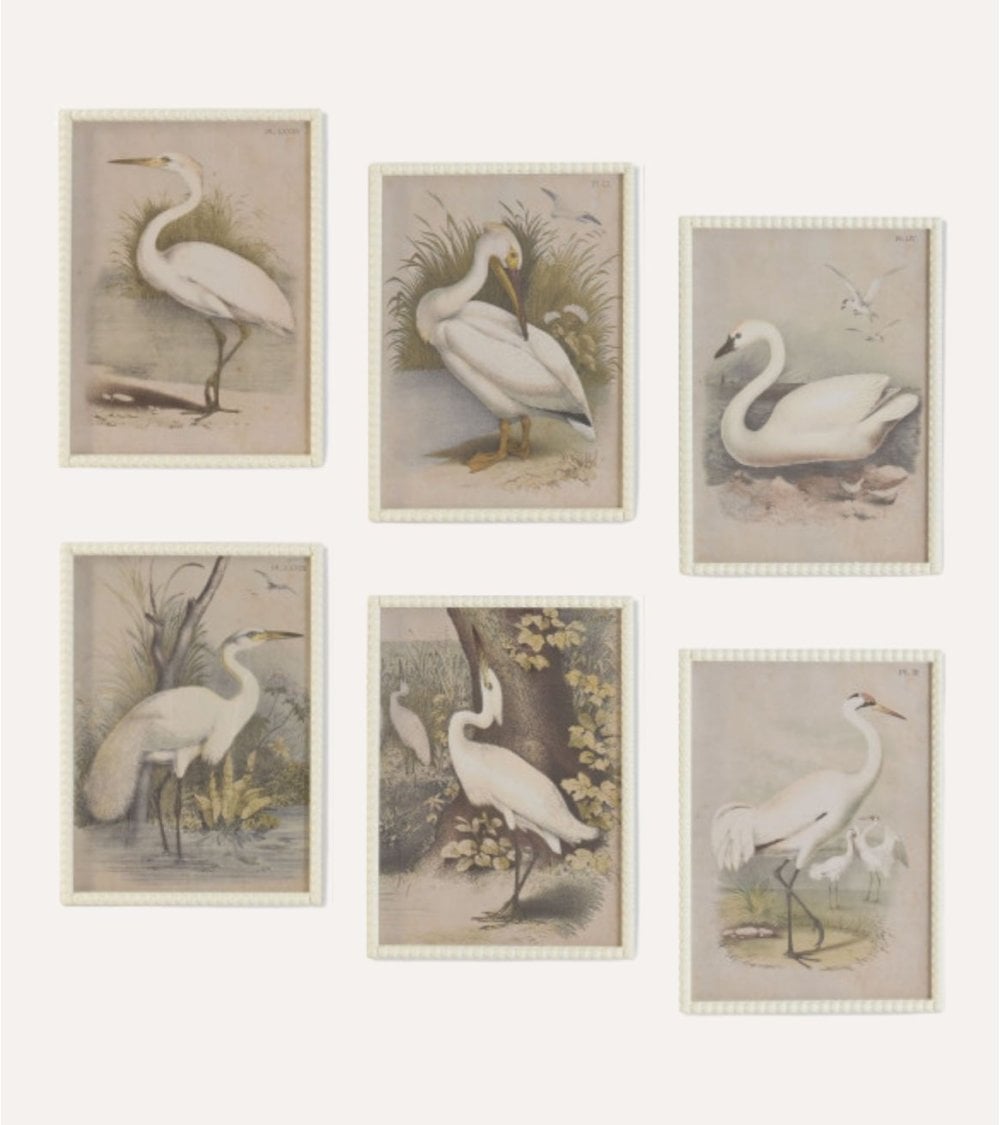 Cuadro Impreso Garza de Madera de Abeto