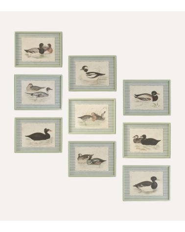 Cuadro Impreso Pato en Estanque de Madera de Abeto