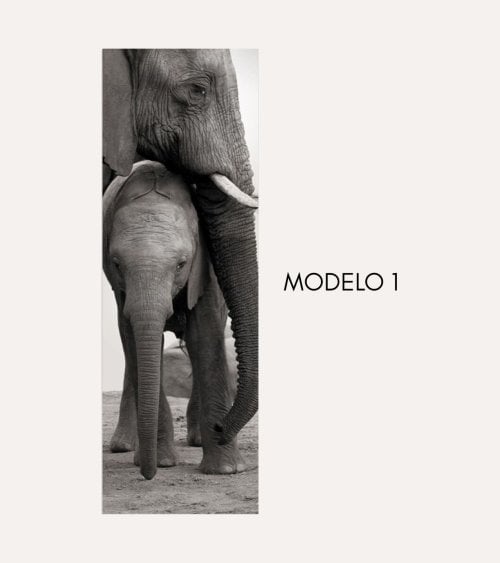 Cuadro Lienzo Alto Elefante de Madera