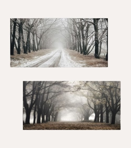 Cuadro Lienzo Camino Horizontal de Madera