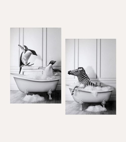 Cuadro Impreso Animales en Bañera de Lienzo