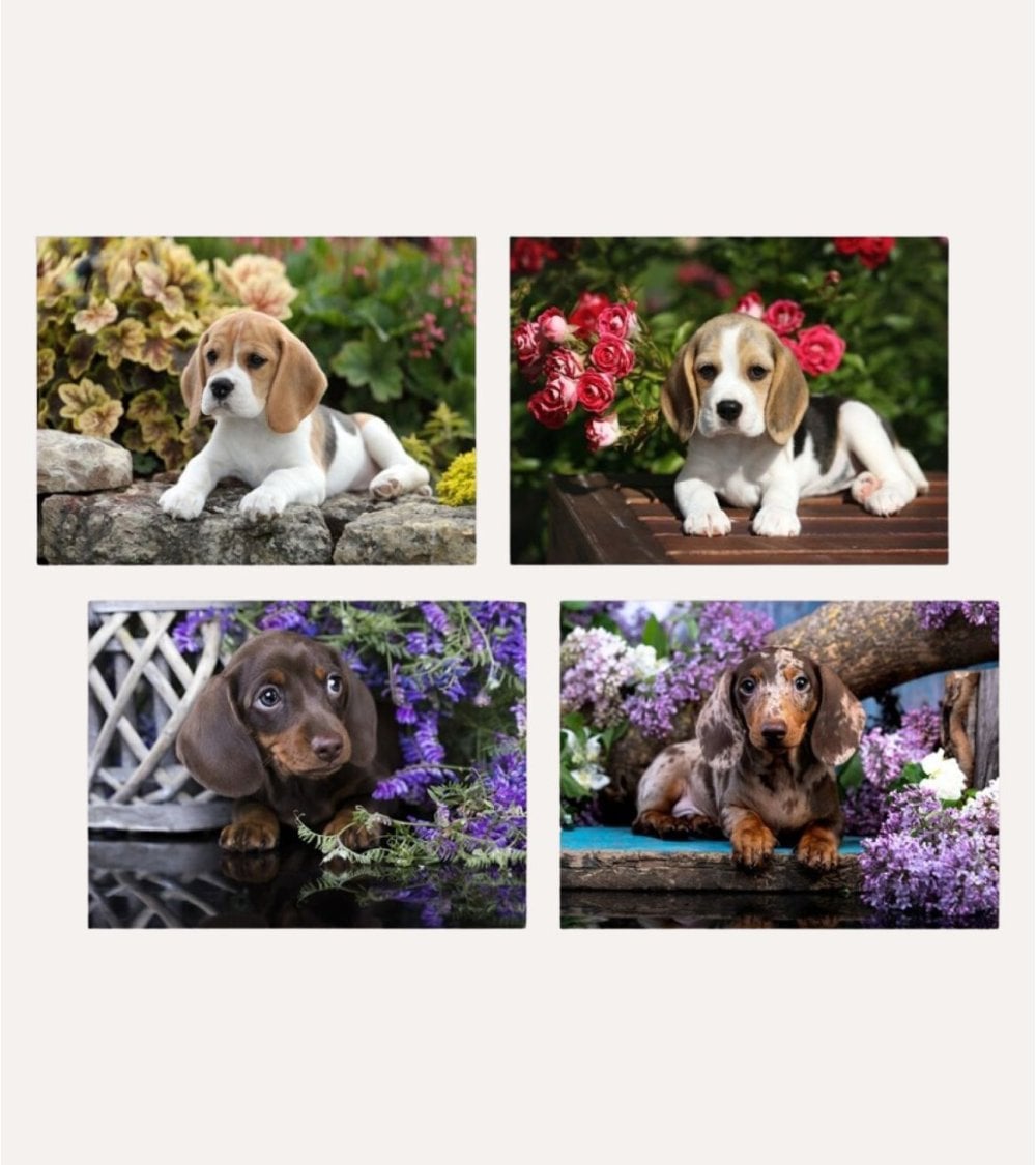 Cuadro Impreso Perrito con Flores de Lienzo