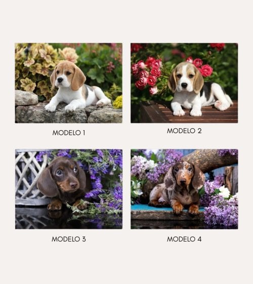 Cuadro Impreso Perrito con Flores de Lienzo