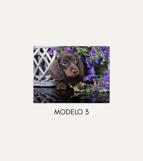 Cuadro Impreso Perrito con Flores de Lienzo