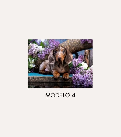 Cuadro Impreso Perrito con Flores de Lienzo