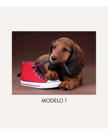 Cuadro Impreso Perro con Zapato de Lienzo