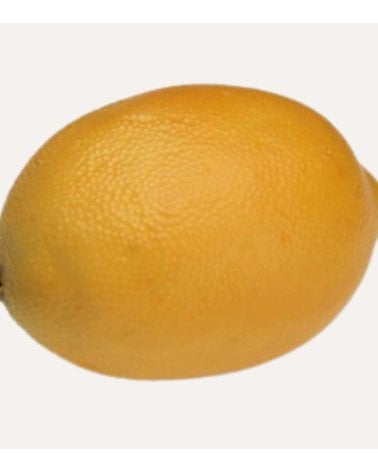 Limón Decorativo Realista de Hierro y Plástico