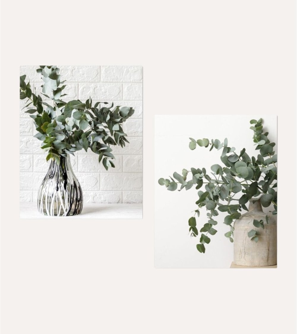 Cuadro Impreso Jarrón de Eucalipto de Lienzo