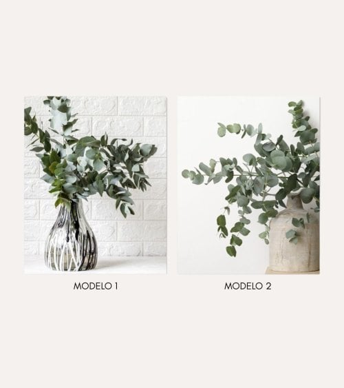 Cuadro Impreso Jarrón de Eucalipto de Lienzo